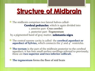 Structure of MidbrainStructure of Midbrain
 The midbrain comprises two lateral halves called-
Cerebral pedunclesCerebral peduncles; which is again divided into
1. anterior part- Crus cerebri
2. posterior part -Tegmentum
by a pigmented band of gray matter, substantia nigrasubstantia nigra
 The central narrow cavity is called the cerebral aqueduct or
aqueduct of Sylvius, which connects the 3rd
and 4th
ventricles.
 The tectum is the part of the midbrain posterior to the cerebral
aqueduct; it has four small surface swellings referred to previously;
these are two superior and two inferior colliculi.
 The tegmentum forms the floor of mid brain
 