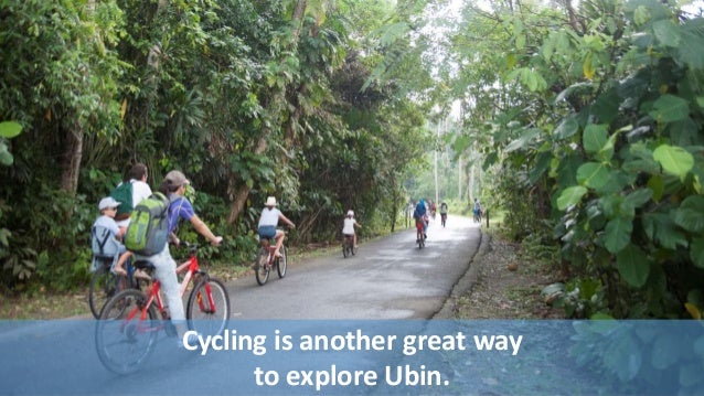 Pulau Ubin: how to get around
