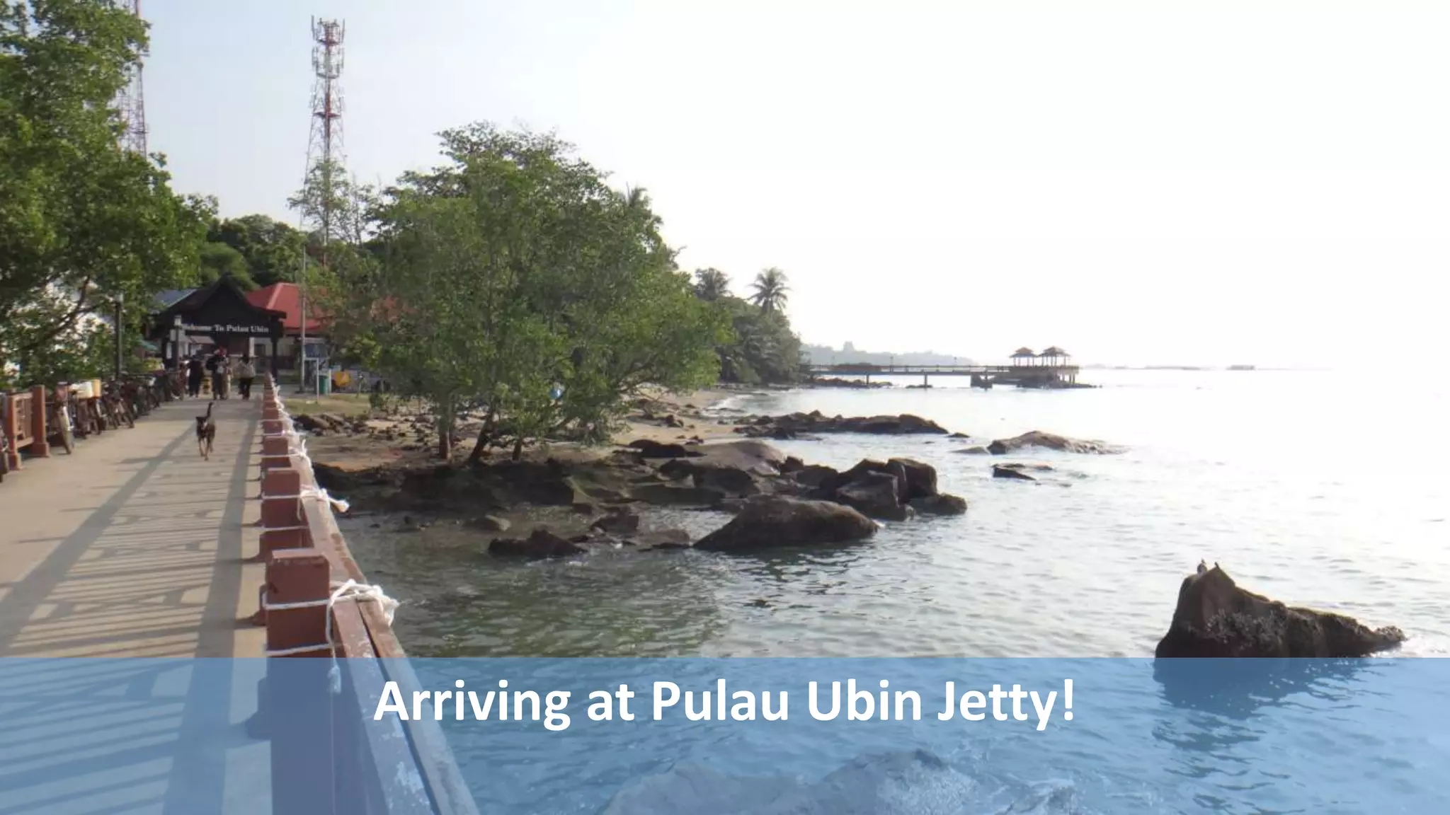 Arriving at Pulau Ubin Jetty!