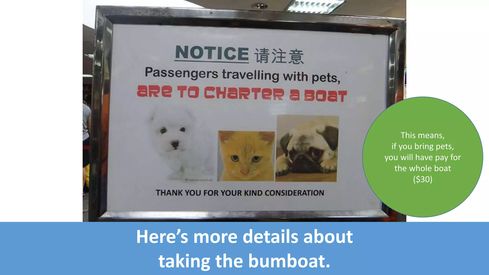 More details about taking the bumboat.
This means,
if you bring pets,
you will have pay for
the whole boat
($36)