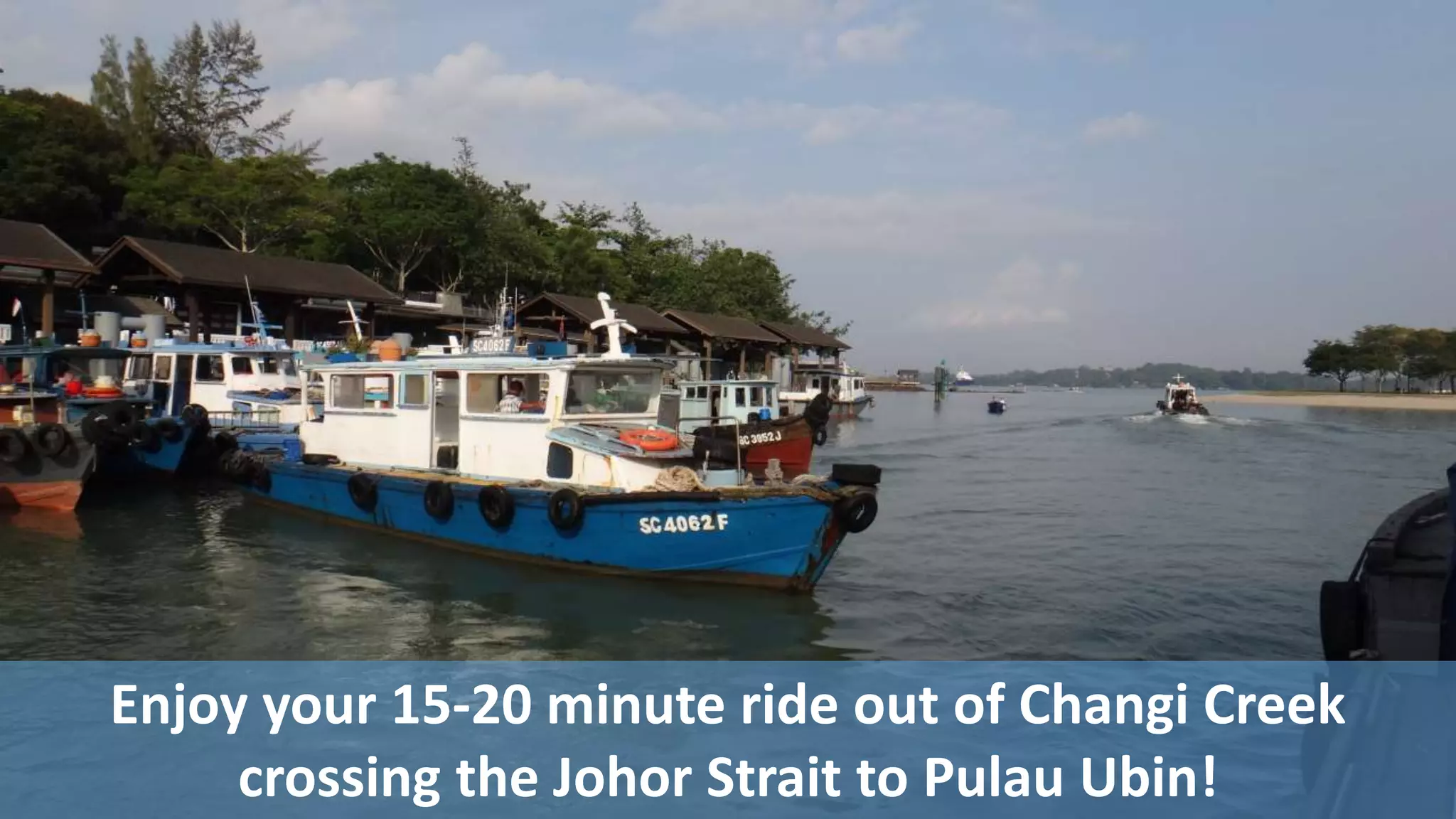 Enjoy your 15-20 minute ride out of Changi Creek
crossing the Johor Strait to Pulau Ubin!
