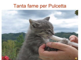Tanta fame per Pulcetta CHE FAMEEEE!!!!! 