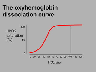 The oxyhemoglobin
dissociation curve
0 20 30 40 50 60 70 80 90 100 110 120
100
50
0
PO2, blood
HbO2
saturation
(%)
 