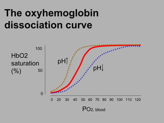 The oxyhemoglobin
dissociation curve
0 20 30 40 50 60 70 80 90 100 110 120
100
50
0
PO2, blood
HbO2
saturation
(%) pH
pH
 