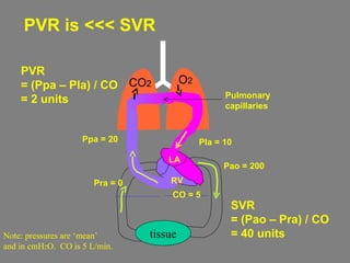 PVR
= (Ppa – Pla) / CO
= 2 units
tissue
CO2 O2
Ppa = 20
RV
LA
Pulmonary
capillaries
Note: pressures are ‘mean’
and in cmH2O. CO is 5 L/min.
Pla = 10
Pao = 200
SVR
= (Pao – Pra) / CO
= 40 units
Pra = 0
CO = 5
PVR is <<< SVR
 
