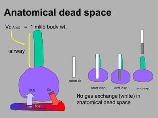 Anatomical dead space
VD Anat = 1 ml/lb body wt.
airway
start insp end insp end exp
room air
No gas exchange (white) in
anatomical dead space
flow
CO2 O2
 