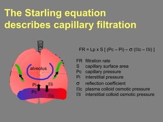 The Starling equation
describes capillary filtration
FR = Lp x S [ (Pc – Pi) – σ (Πc – Πi) ]
FR filtration rate
S capillary surface area
Pc capillary pressure
Pi interstitial pressure
σ reflection coefficient
Πc plasma colloid osmotic pressure
Πi interstitial colloid osmotic pressure
alveolus
Pc
Pi
Πc
Πi
 