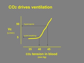 CO2 tension in blood
(mm Hg)
35 40 45
VE
5
50
(L/min)
quiet breathing
hypercapnia
CO2 drives ventilation
 