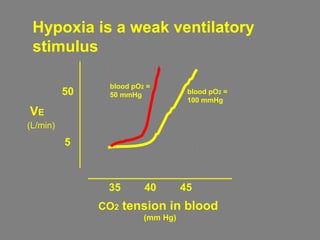 CO2 tension in blood
(mm Hg)
35 40 45
VE
5
50
(L/min)
Hypoxia is a weak ventilatory
stimulus
blood pO2 =
100 mmHg
blood pO2 =
50 mmHg
 