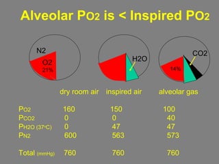 dry room air inspired air alveolar gas
PO2 160 150 100
PCO2 0 0 40
PH2O (37o
C) 0 47 47
PN2 600 563 573
Total (mmHg) 760 760 760
N2
O2
21%
H2O
14%
CO2
Alveolar PO2 is < Inspired PO2
 
