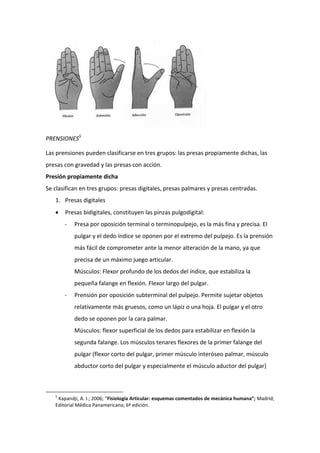 PRENSIONES5
Las prensiones pueden clasificarse en tres grupos: las presas propiamente dichas, las
presas con gravedad y las presas con acción.
Presión propiamente dicha
Se clasifican en tres grupos: presas digitales, presas palmares y presas centradas.
1. Presas digitales


Presas bidigitales, constituyen las pinzas pulgodigital:
-

Presa por oposición terminal o terminopulpejo, es la más fina y precisa. El
pulgar y el dedo índice se oponen por el extremo del pulpejo. Es la prensión
más fácil de comprometer ante la menor alteración de la mano, ya que
precisa de un máximo juego articular.
Músculos: Flexor profundo de los dedos del índice, que estabiliza la
pequeña falange en flexión. Flexor largo del pulgar.

-

Prensión por oposición subterminal del pulpejo. Permite sujetar objetos
relativamente más gruesos, como un lápiz o una hoja. El pulgar y el otro
dedo se oponen por la cara palmar.
Músculos: flexor superficial de los dedos para estabilizar en flexión la
segunda falange. Los músculos tenares flexores de la primer falange del
pulgar (flexor corto del pulgar, primer músculo interóseo palmar, músculo
abductor corto del pulgar y especialmente el músculo aductor del pulgar)

5

Kapandji, A. I.; 2006; “Fisiología Articular: esquemas comentados de mecánica humana”; Madrid;
Editorial Médica Panamericana; 6ª edición.

 
