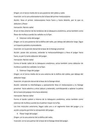 Origen: en el tercio medio de la cara posterior del cúbito y radio
Inserción: en la cara anteroexterna de la base del primer metacarpiano
Acción: lleva el primer metacarpiano hacia fuera y hacia delante, por lo que es
abductor y flexor
Inervación: Nervio radial
Al ser el más anterior de los tendones de la tabaquera anatómica, actúa también como
flexor de muñeca cuando los radiales no la fijan.
2. Extensor corto del pulgar
Origen: en la cara posterior de la diáfisis del radio, por debajo del abductor largo. Sigue
un trayecto paralelo al precedente.
Inserción: en la porción dorsal de la base de la falange proximal.
Acción: posee dos acciones, extiende la metacarpofalángica y lleva el pulgar hacia
fuera, es por lo tanto abductor del pulgar.
Inervación: Nervio radial
Forma el borde radial de la tabaquera anatómica, actúa también como abductor de
muñeca cuando los cubitales no la fijan.
3. Extensor largo del pulgar
Origen: en el tercio medio de la cara externa de la diáfisis del cúbito, por debajo del
abductor largo.
Inserción: en porción dorsal de la base de la falange distal.
Acción: extiende la interfalángica y pasivamente lleva el metacarpiano y la falange
proximal hacia adentro y atrás (aduce y extiende), contribuyendo a aplanar la palma
de la mano (el pulpejo mira hacia delante).
Inervación: Nervio radial
Forma el borde cubital o interno de la tabaquera anatómica, actúa también como
extensor de muñeca cuando los el palmar mayor no la fija.
Los tres músculos anteriores, llegan cada uno a un segmento óseo del pulgar y su
acción conjunta permite la retropulsión del pulgar.
4. Flexor largo del pulgar
Origen: en la cara anterior de la diáfisis del radio.
Inserción: en la cara palmar de la base de la falange distal del pulgar.

 