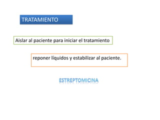 TRATAMIENTO


Aislar al paciente para iniciar el tratamiento


        reponer líquidos y estabilizar al paciente.
 