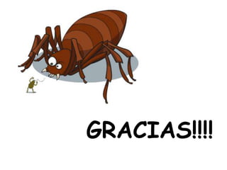 GRACIAS!!!!
 
