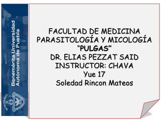 FACULTAD DE MEDICINA
PARASITOLOGÍA Y MICOLOGÍA
           “PULGAS”
   DR. ELIAS PEZZAT SAID
    INSTRUCTOR: CHAVA
             Yue 17
     Soledad Rincon Mateos
 