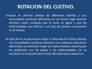 A si como la utilizacion de variedades modificadas geneticamente.Antixenosis. Describe la inhabilidad de la planta de servir como alimento, abrigo o  para oviposición del insecto.ROTACION DEL CULTIVO.consiste en alternar plantas de diferentes familias y con necesidades nutritivas diferentes en un mismo lugar durante distintos ciclos, evitando que el suelo se agote y que las enfermedades que afectan a un tipo de plantas se perpetúe en el tiempo.De esta forma se aprovecha mejor el abonado (al utilizar plantas con necesidades nutritivas distintas y con sistemas radiculares diferentes), se controlan mejor las malas hierbas y disminuyen los problemas con las plagas y las enfermedades, (al no encontrar un huésped tienen más dificultad para sobrevivir).