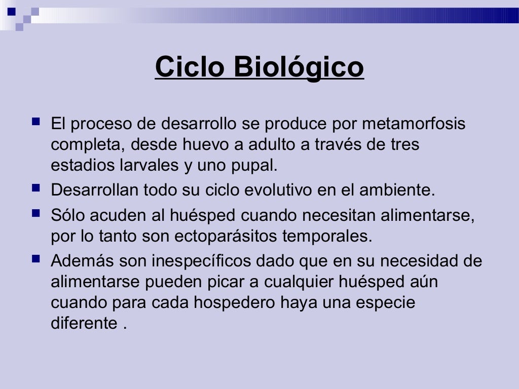 Pulicosis 131029210035phpapp01