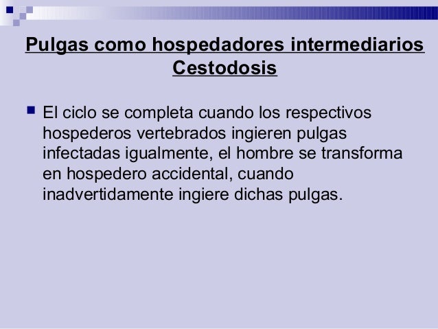 Pulicosis 131029210035phpapp01