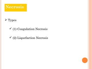 Necrosis


 Types

   (1) Coagulation Necrosis

   (2) Liquefaction Necrosis
 