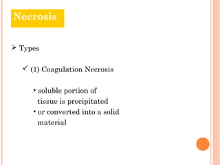 Necrosis


 Types

   (1) Coagulation Necrosis

     • soluble portion of
       tissue is precipitated
     • or converted into a solid
       material
 