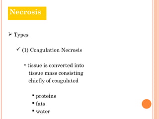 Necrosis


 Types

   (1) Coagulation Necrosis

     • tissue is converted into
          tissue mass consisting
          chiefly of coagulated

            proteins
            fats
            water
 