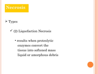 Necrosis


 Types

   (2) Liquefaction Necrosis

     • results when proteolytic
          enzymes convert the
          tissue into softened mass
          liquid or amorphous debris
 