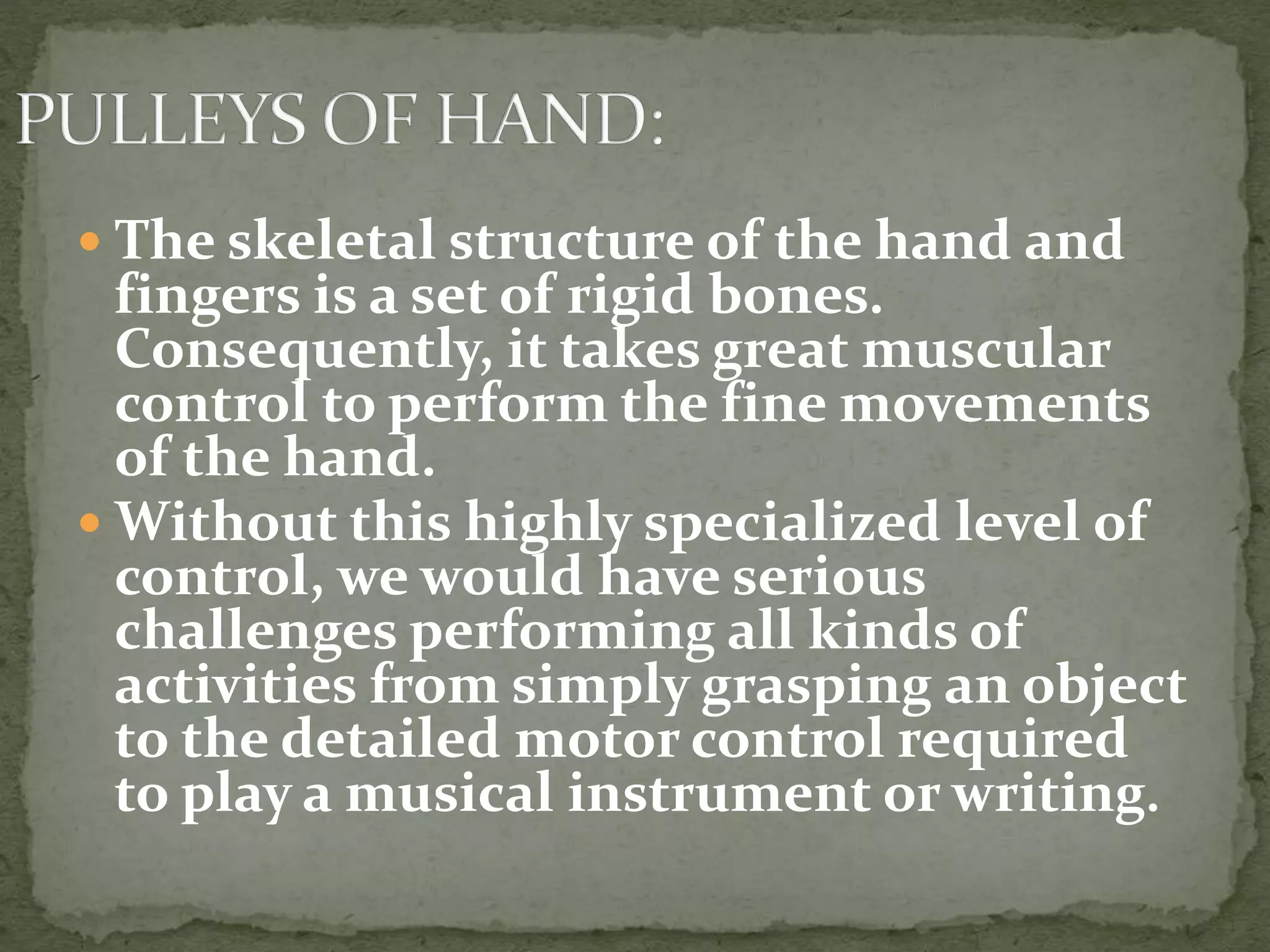 PULLEYS OF HAND. PPT..pptx