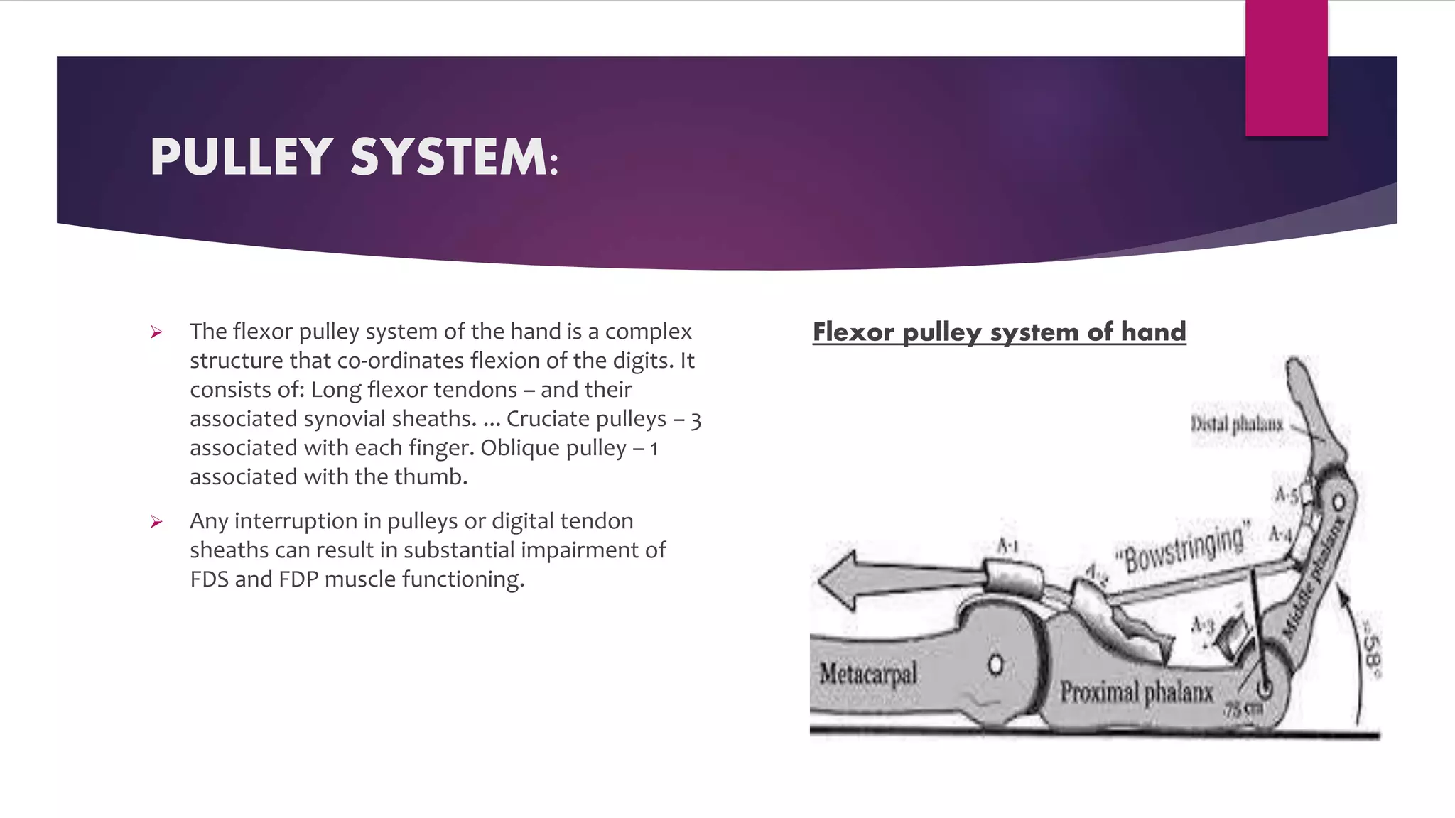 Pulley system | PPT