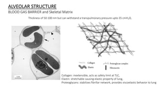 Tlc Matrix Pulling lung out of VILI vortex.pdf
