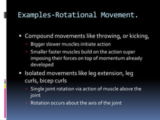 Pulling Movements – Shoulder Or Elbow First