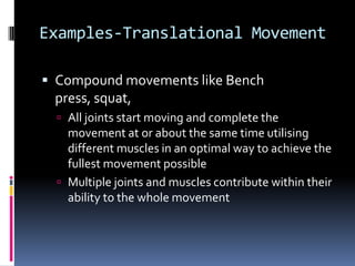Pulling Movements – Shoulder Or Elbow First