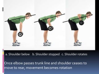 Pulling Movements – Shoulder Or Elbow First
