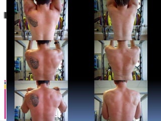 Pulling Movements – Shoulder Or Elbow First
