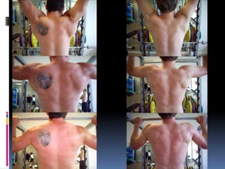 Pulling Movements – Shoulder Or Elbow First