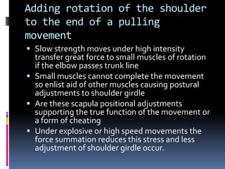 Pulling Movements – Shoulder Or Elbow First