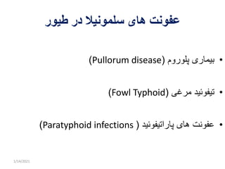 Pullorum disease | PDF