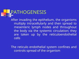 Pullorum Loop Pullorum Disease also known as bacillary white diarrhea | PPT