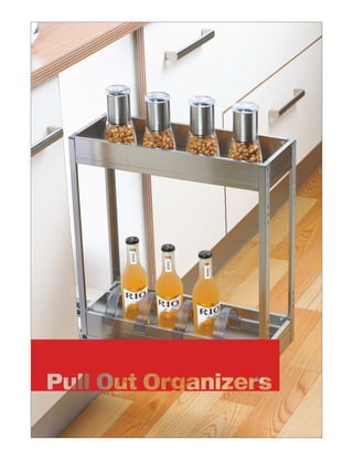 Pull Out Organizers

 