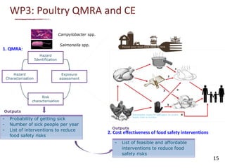 WP3: Poultry QMRA and CE
1. QMRA:
2. Cost effectiveness of food safety interventions
Salmonella spp.
Campylobacter spp.
Outputs
- Probability of getting sick
- Number of sick people per year
- List of interventions to reduce
food safety risks
Outputs
- List of feasible and affordable
interventions to reduce food
safety risks
15
 