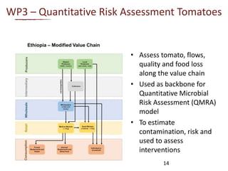 Urban food markets in Africa: Incentivizing  food safety – Project implementation update
