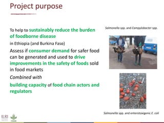 Urban food markets in Africa: Incentivizing  food safety – Project implementation update