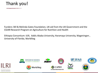 Urban food markets in Africa: Incentivizing  food safety – Project implementation update