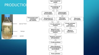 PRODUCTION
R.S. Singh, et al.
 
