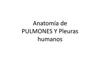 Anatomía de
PULMONES Y Pleuras
    humanos
 