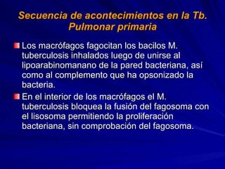 Secuencia de acontecimientos en la Tb. Pulmonar primaria Los macrófagos fagocitan los bacilos M. tuberculosis inhalados luego de unirse al lipoarabinomanano de la pared bacteriana, así como al complemento que ha opsonizado la bacteria. En el interior de los macrófagos el M. tuberculosis bloquea la fusión del fagosoma con el lisosoma permitiendo la proliferación bacteriana, sin comprobación del fagosoma. 