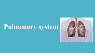 Pulmonary system
 