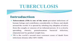 TUBERCULOSIS
Caused by a bacillus bacterium
 