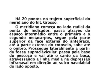 INTESTINO GROSSO
Há 20 pontos no trajeto superficial do
meridiano do Int. Grosso.
O meridiano começa no lado radial da
ponta do indicador, passa através do
espaço intermédio entre o primeiro e o
segundo metacarpos, segue pela parte
superior da face externa do antebraço,
até à parte externa do cotovelo, sobe até
o ombro. Prossegue lateralmente a partir
da fossa supraclavicular, passa pela base
do pescoço e vai até o canto da boca,
atravessando a linha média na depressão
infranasal em direção ao sulco nasolabial
do lado oposto.
 