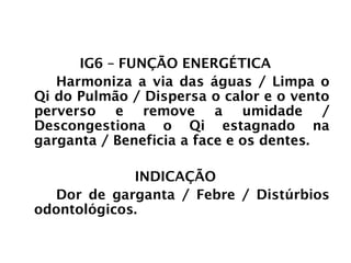 INTESTINO GROSSO
IG6 – FUNÇÃO ENERGÉTICA
Harmoniza a via das águas / Limpa o
Qi do Pulmão / Dispersa o calor e o vento
perverso e remove a umidade /
Descongestiona o Qi estagnado na
garganta / Beneficia a face e os dentes.
INDICAÇÃO
Dor de garganta / Febre / Distúrbios
odontológicos.
 