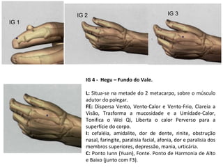 IG 4 - Hegu – Fundo do Vale.
L: Situa-se na metade do 2 metacarpo, sobre o músculo
adutor do polegar.
FE: Dispersa Vento, Vento-Calor e Vento-Frio, Clareia a
Visão, Trasforma a mucosidade e a Umidade-Calor,
Tonifica o Wei Qi, Liberta o calor Perverso para a
superfície do corpo.
I: cefaléia, amidalite, dor de dente, rinite, obstrução
nasal, faringite, paralisia facial, afonia, dor e paralisia dos
membros superiores, depressão, mania, urticária.
C: Ponto Iunn (Yuan), Fonte. Ponto de Harmonia de Alto
e Baixo (junto com F3).
IG 1
IG 2 IG 3
 